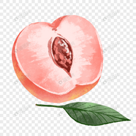 免费站看大片真人电视剧的软件下载...APP应用
